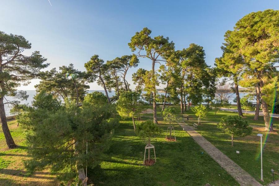 Apartment Hannah Novigrad Istria Eksteriør bilde