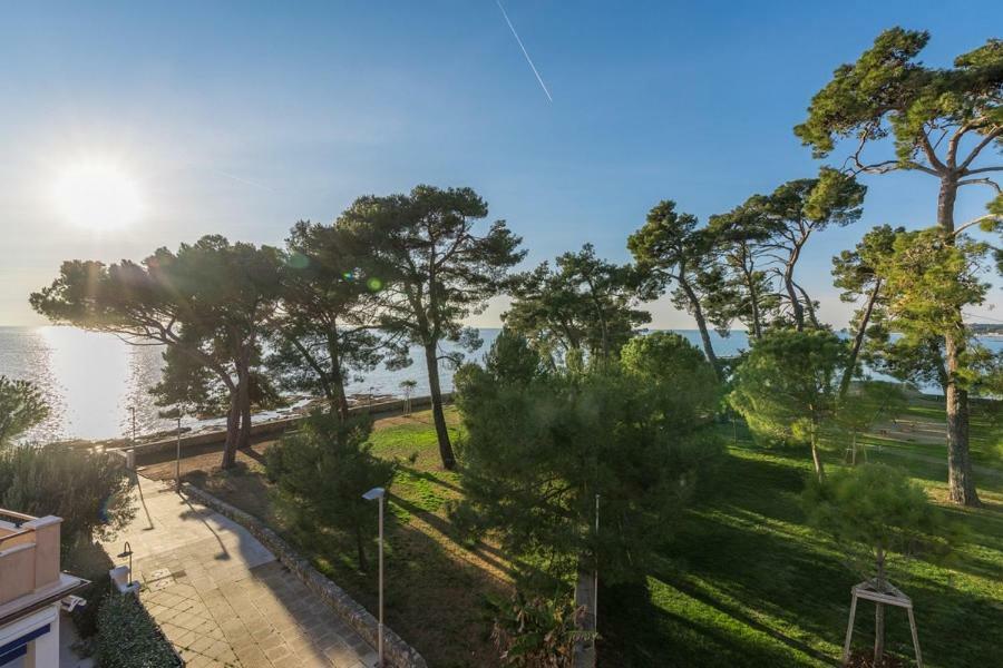 Apartment Hannah Novigrad Istria Eksteriør bilde